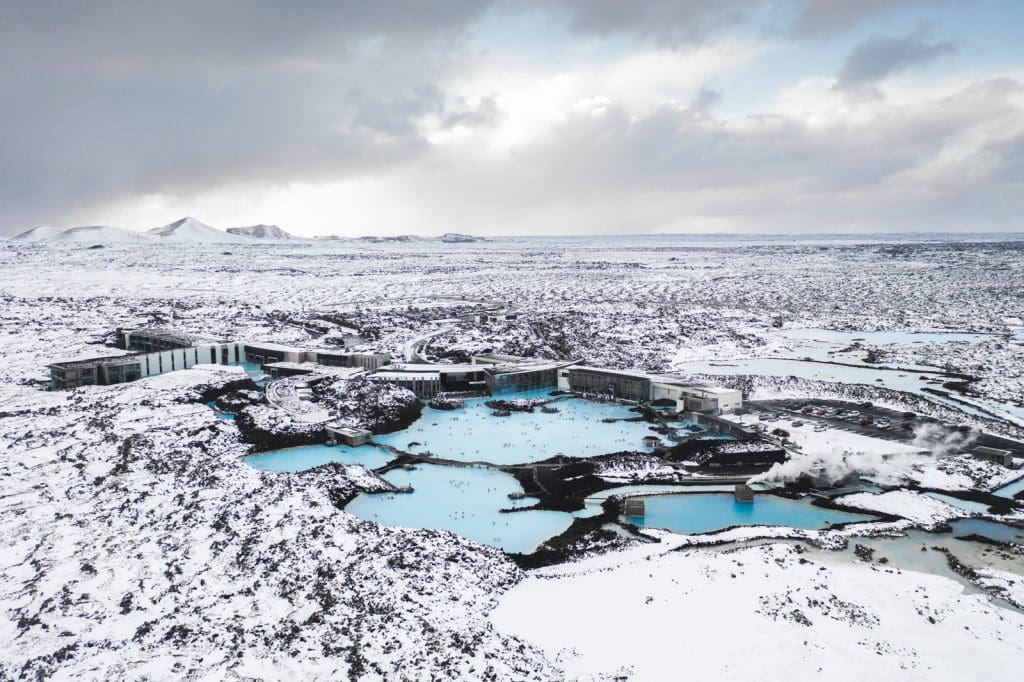 best time to visit iceland for wildlife
